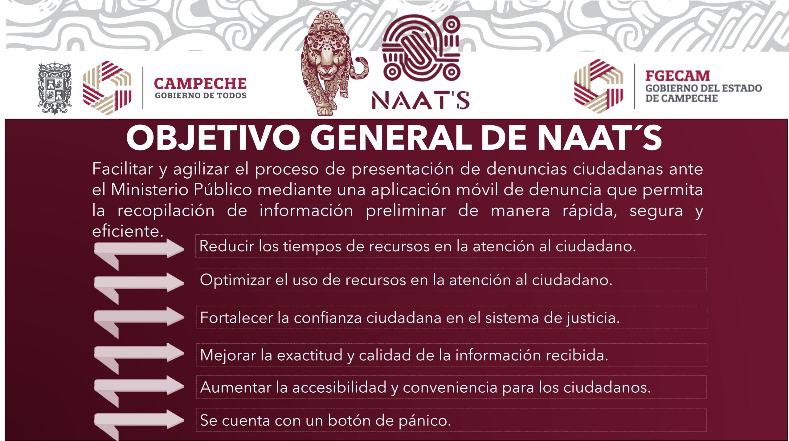 OBJETIVO GENERAL NAATS